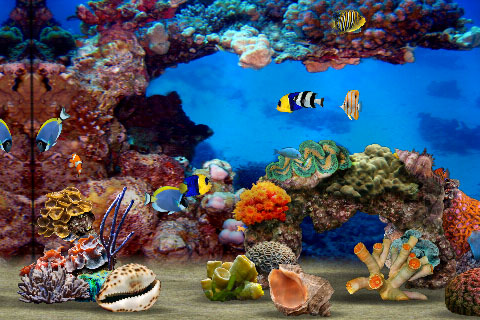 3d fish tank backgrounds. to 30 species of 3D fish
